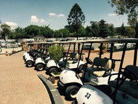 Golf Carts available