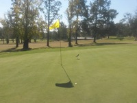 A birdi on the course- sent in by a player.